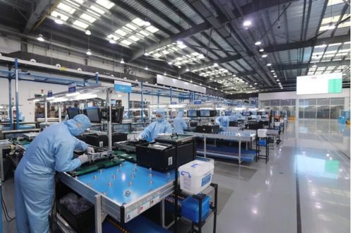 抗疫路上，我們都是一家人 從全民同心到精準紓困