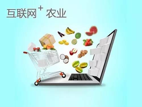 電商是農產品銷售的“救世主”嗎？